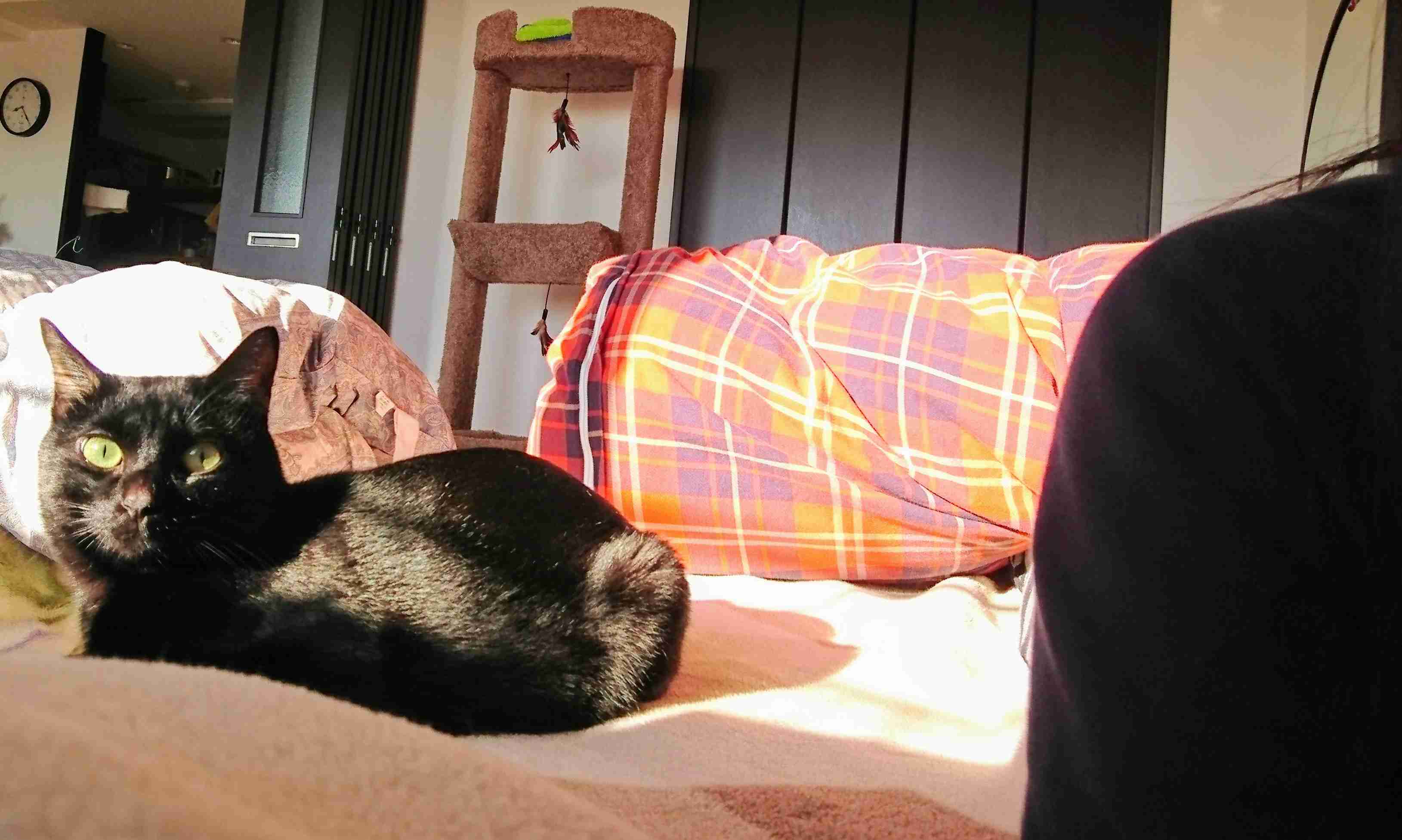 生活感溢れる写真☆part2