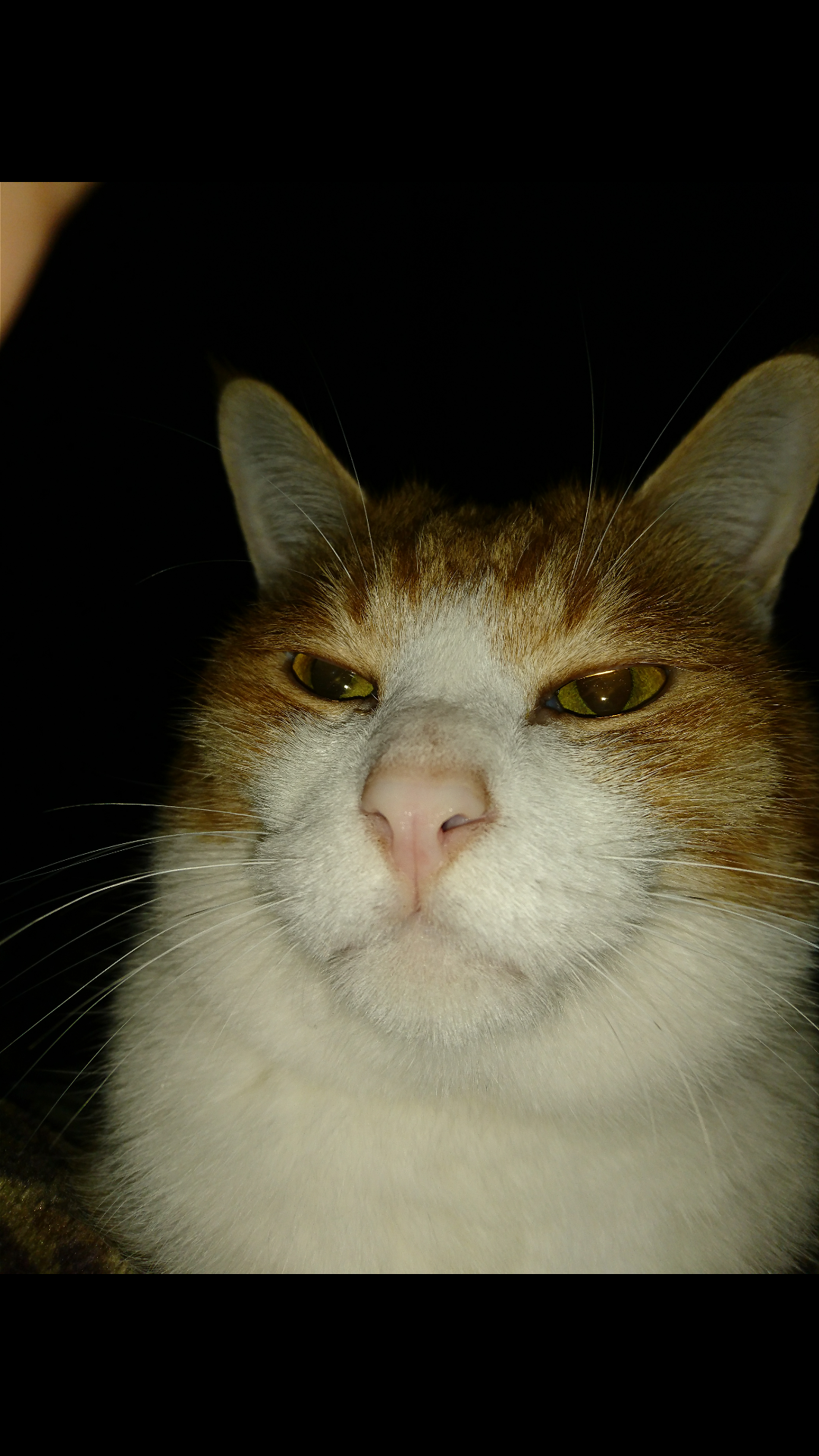 生活感溢れる写真☆part2