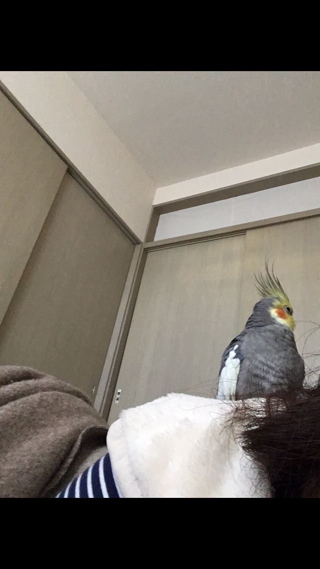 生活感溢れる写真☆part2