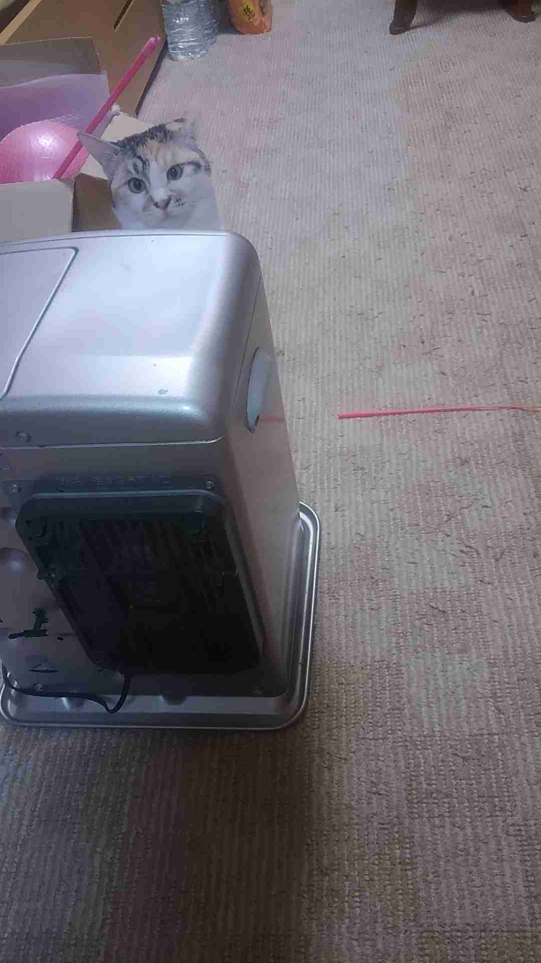 生活感溢れる写真☆part2