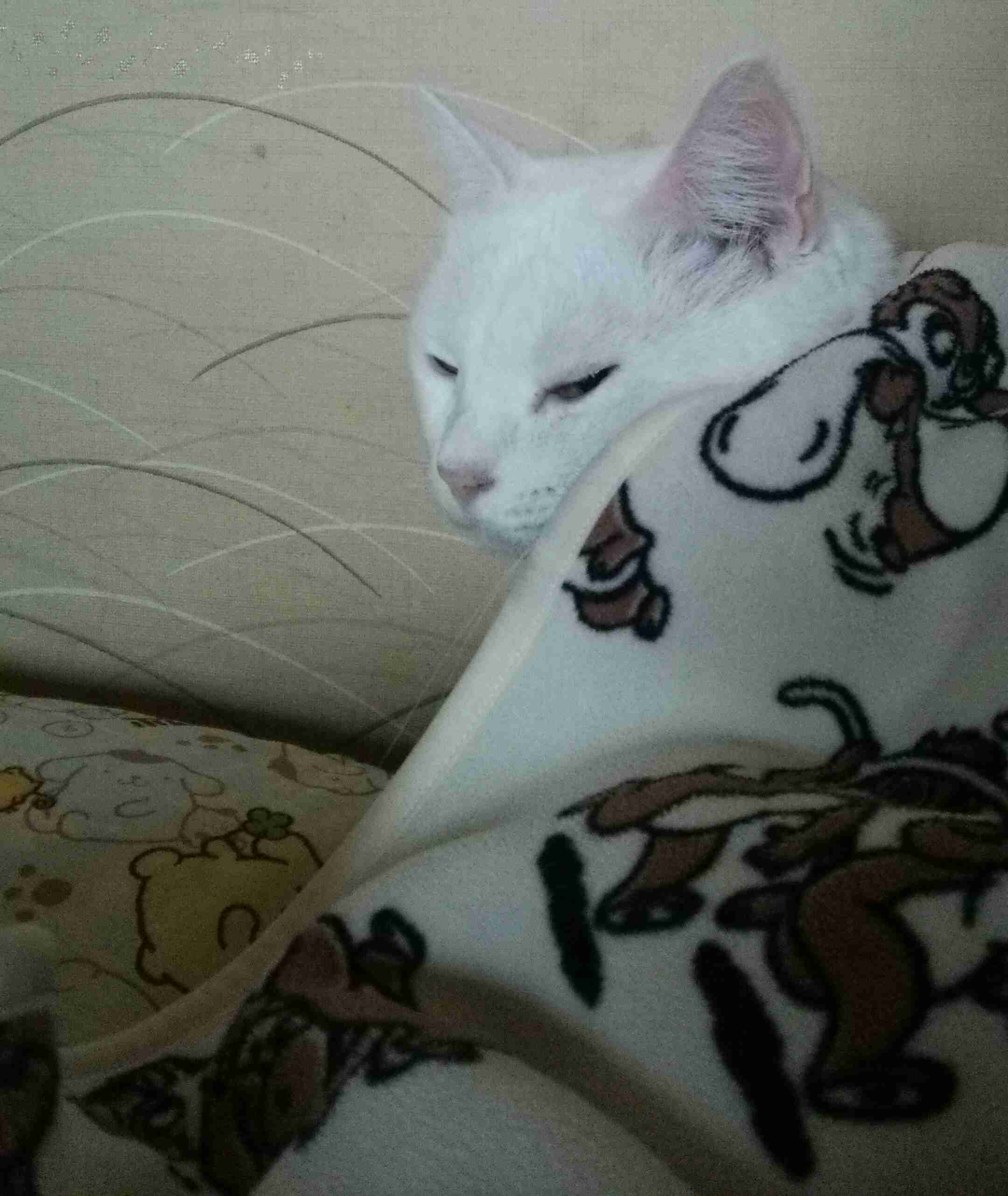 生活感溢れる写真☆part2