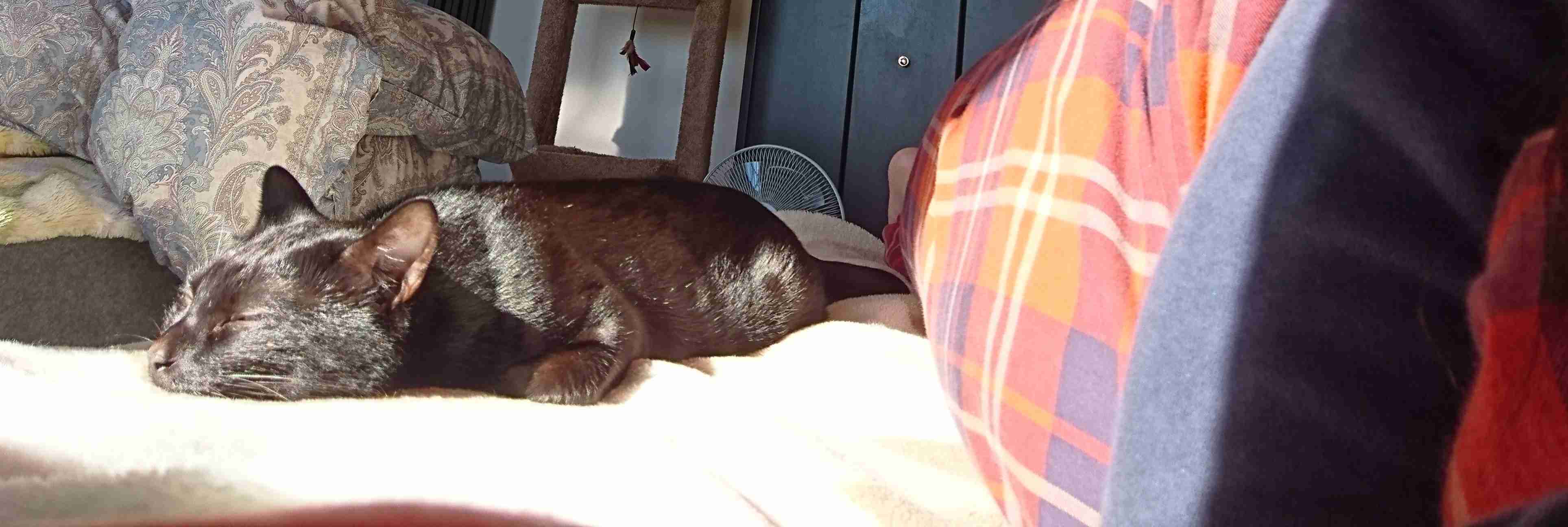 生活感溢れる写真☆part2