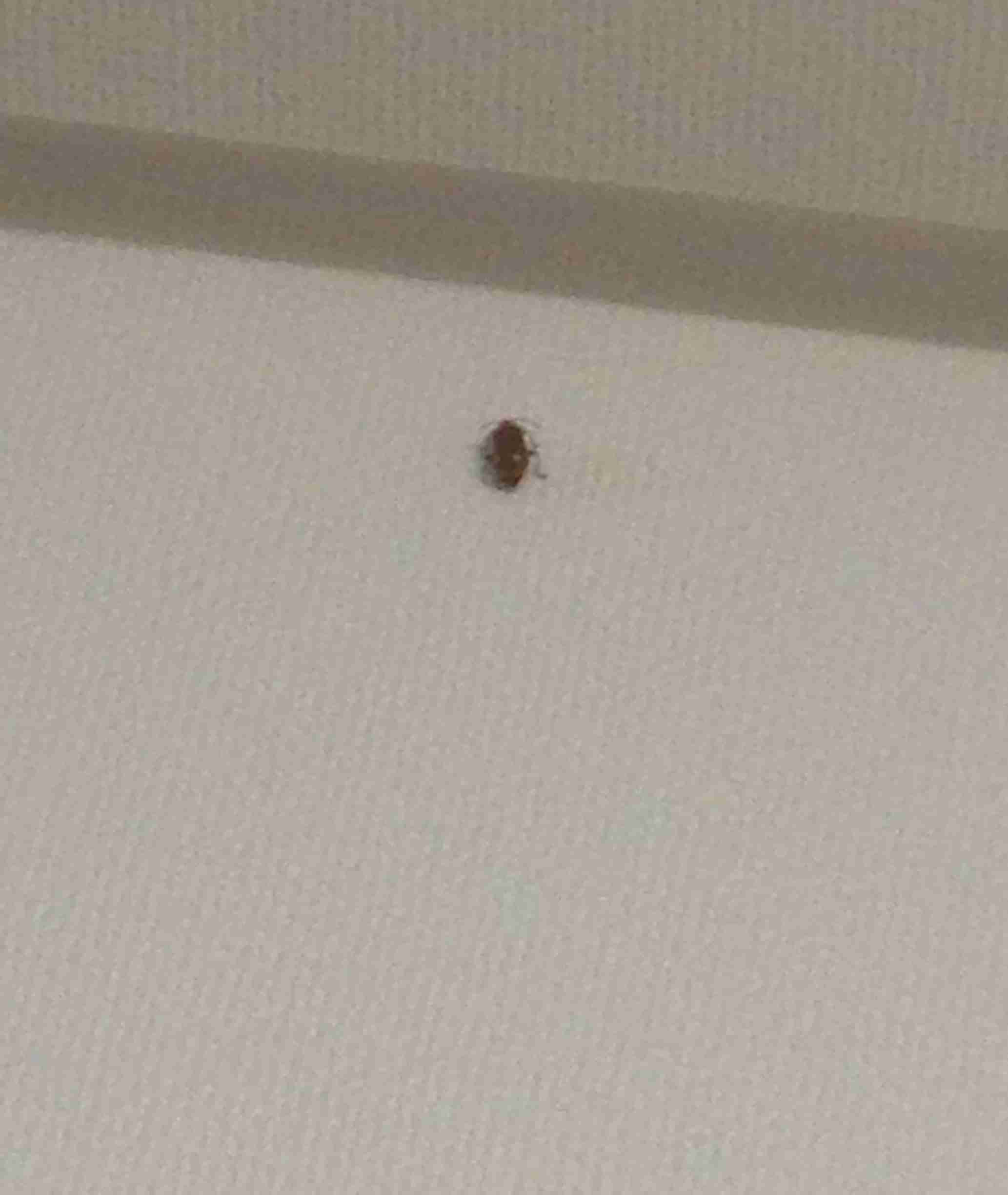 生活感溢れる写真☆part2