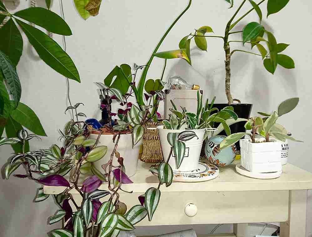 生活感溢れる写真☆part2