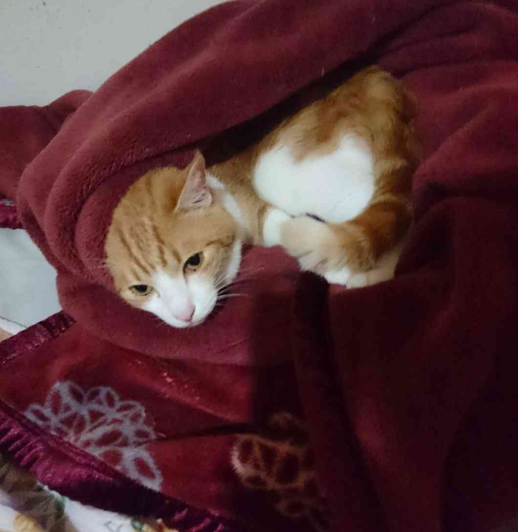 生活感溢れる写真☆part2