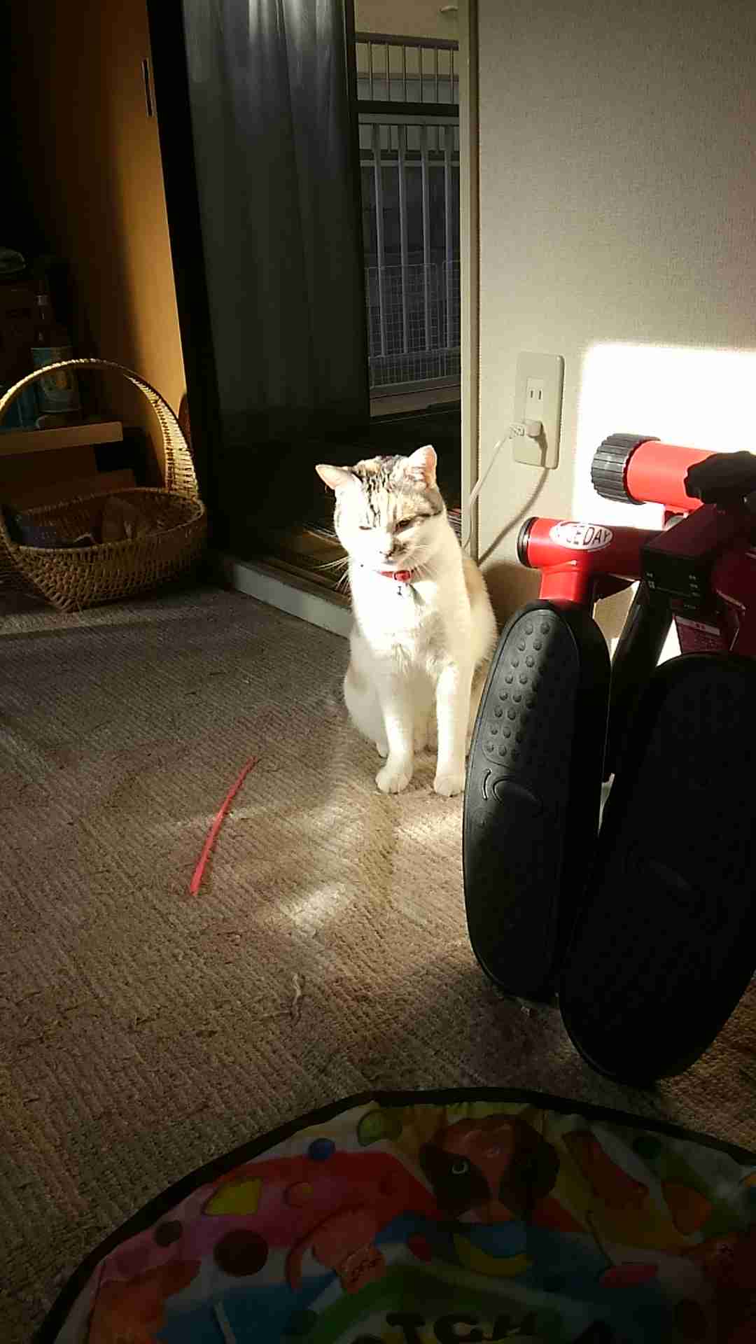 生活感溢れる写真☆part2