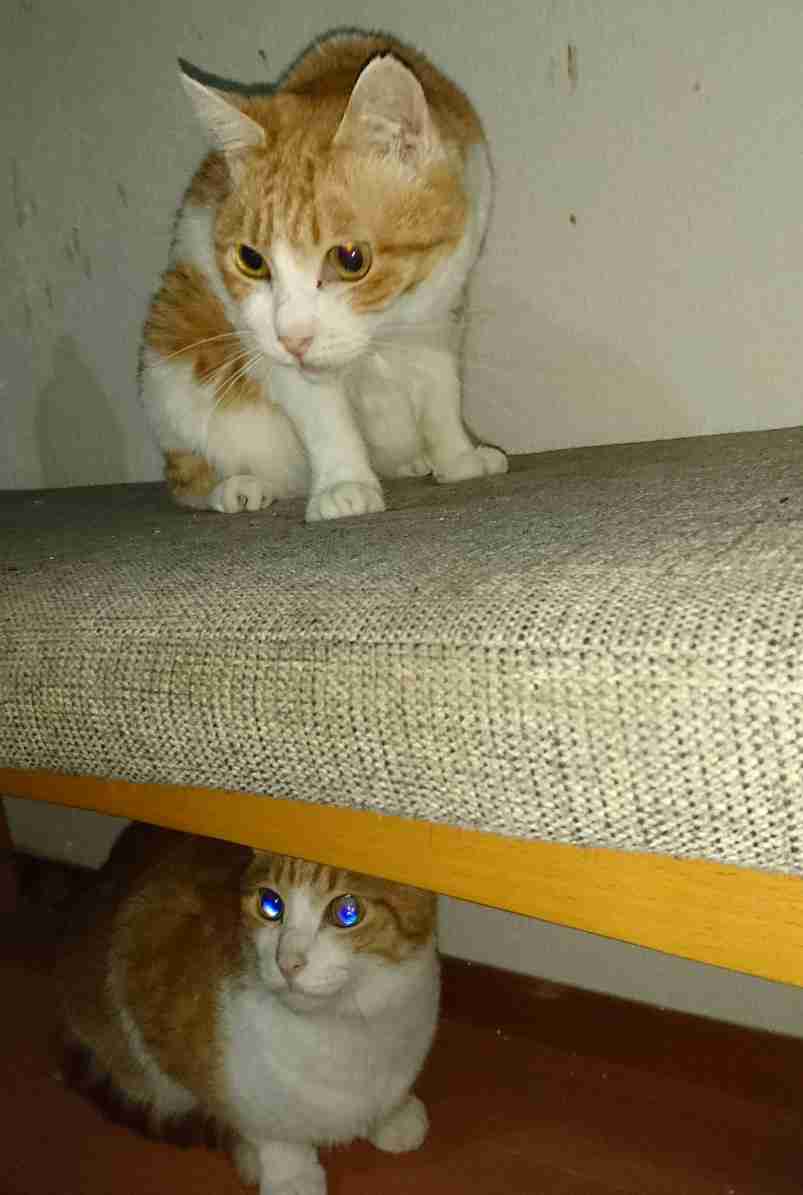 生活感溢れる写真☆part2