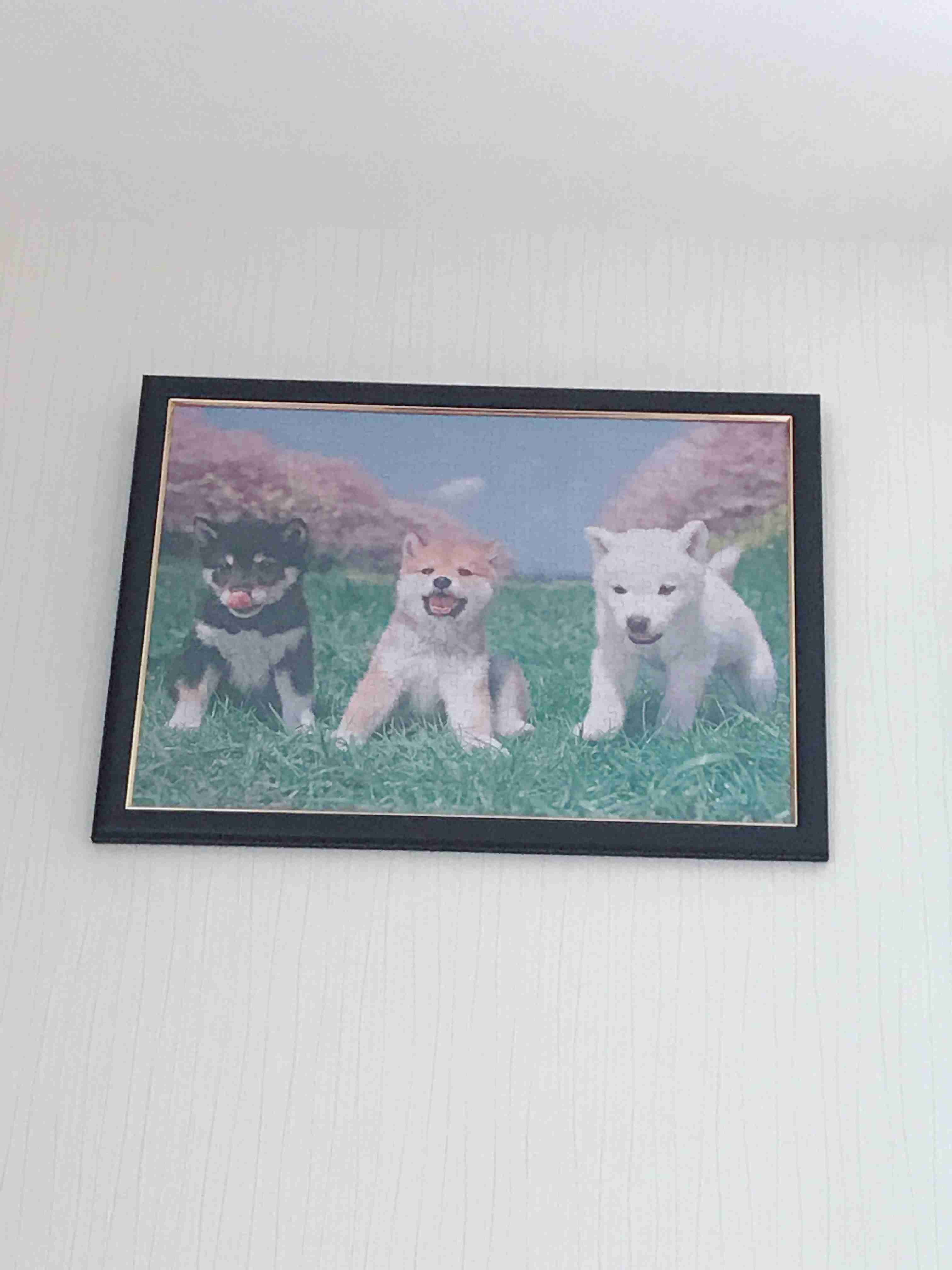 生活感溢れる写真☆part2