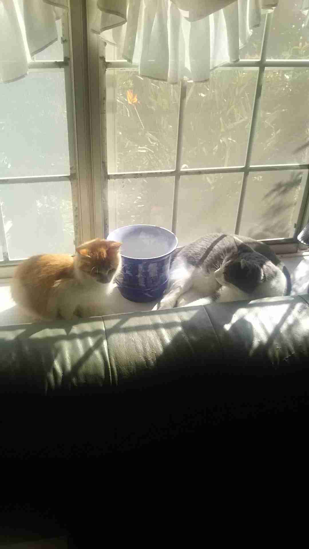 生活感溢れる写真☆part2