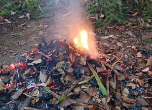 生活感溢れる写真☆part2