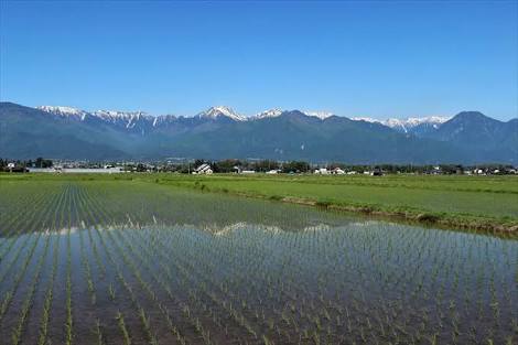 田んぼ、棚田の風景を見るのが好きな方