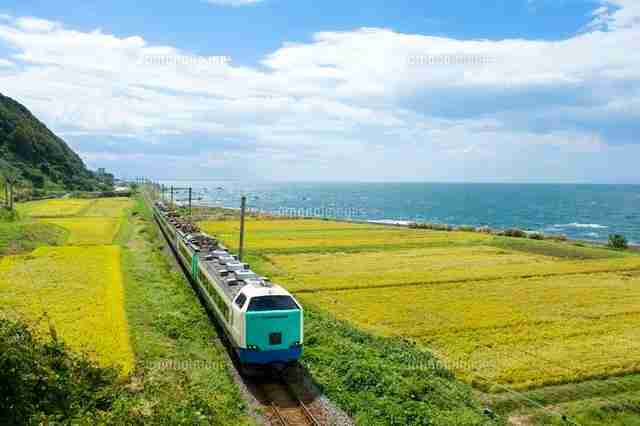 田んぼ、棚田の風景を見るのが好きな方