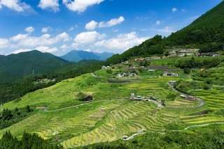 田んぼ、棚田の風景を見るのが好きな方