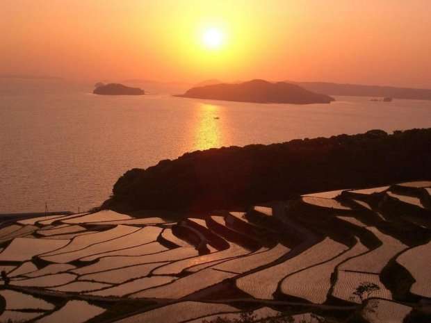 田んぼ、棚田の風景を見るのが好きな方
