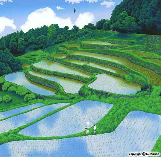 田んぼ、棚田の風景を見るのが好きな方