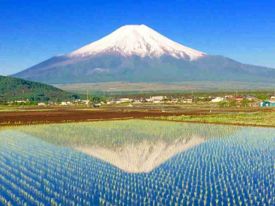 田んぼ、棚田の風景を見るのが好きな方