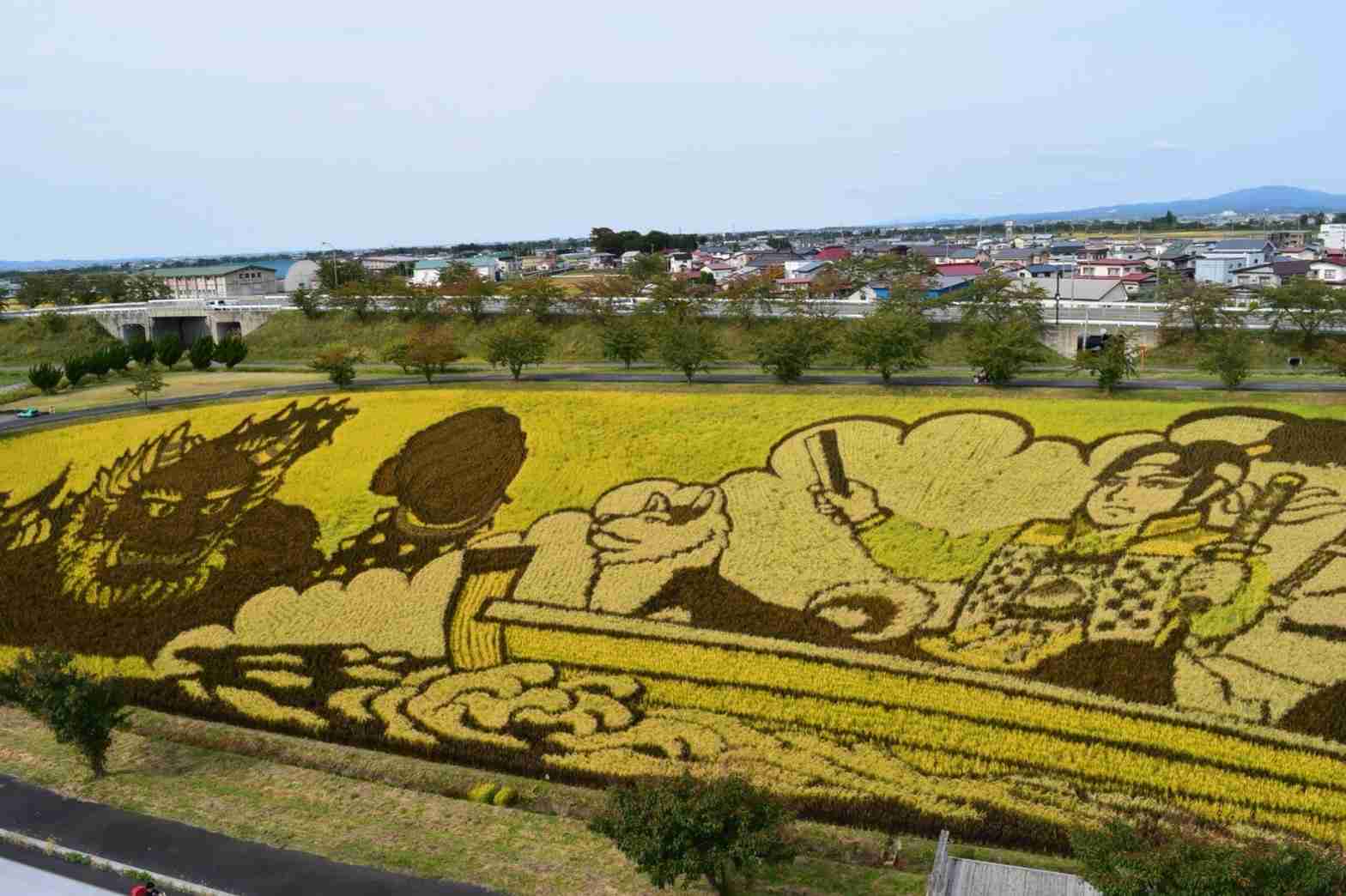 田んぼ、棚田の風景を見るのが好きな方