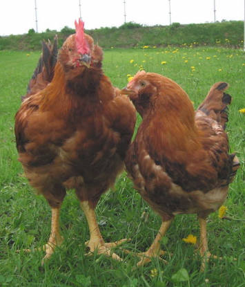 自撮りで引いてしまった有名人（インスタグラムにて）