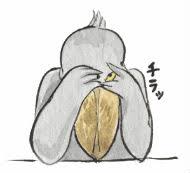 【おすすめ】シュールなLINEスタンプ