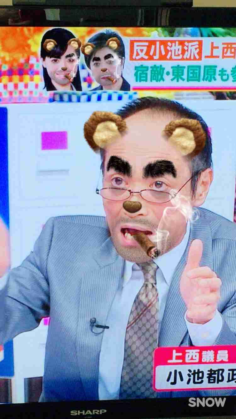 本人に見えない芸能人の画像