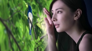 本人に見えない芸能人の画像