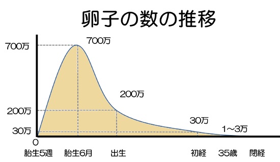 夫がだいぶ年下の方！結婚するときの夫の両親の反応は？