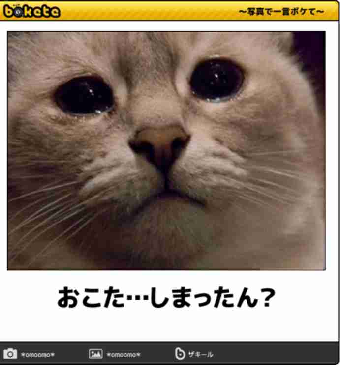 東京でダウンコートは大げさなのか問題 「12度あるのにダウンジャケット着てる奴がいて笑った」