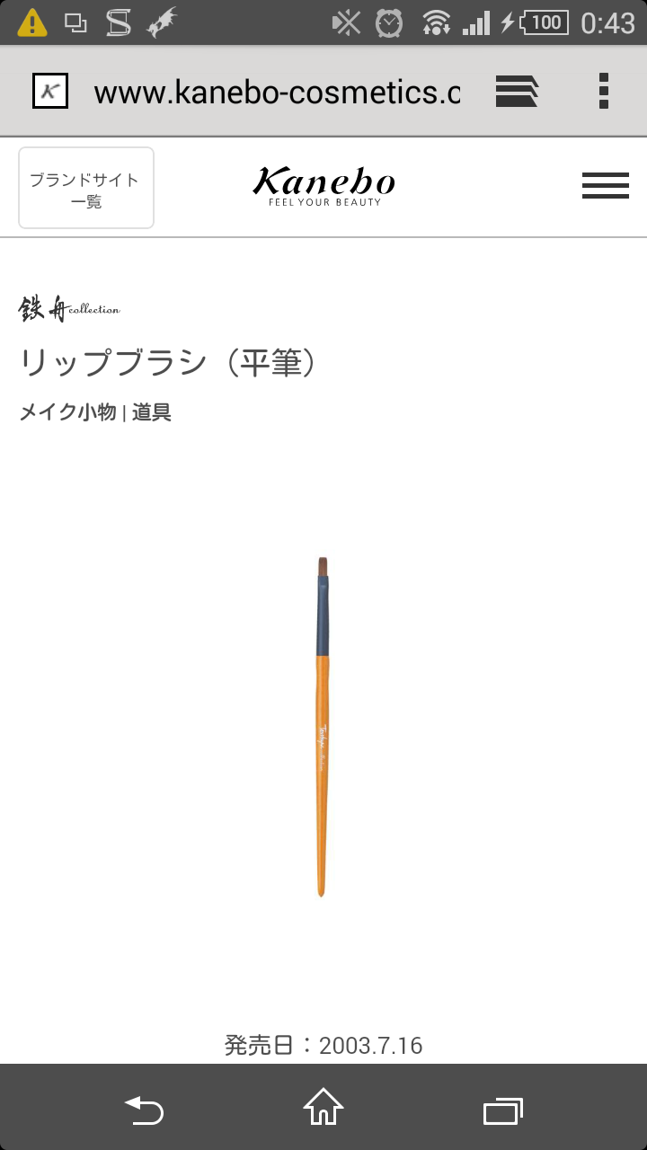 リップブラシ使っている人