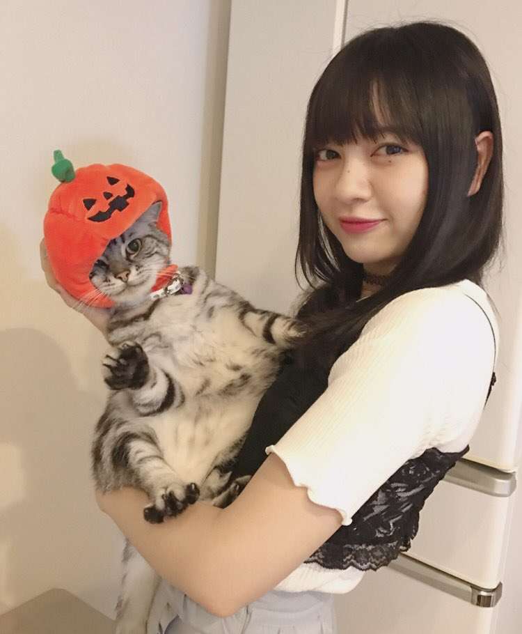 猫を抱く広瀬すずが美少女すぎると話題　「猫になりたい」の声続出