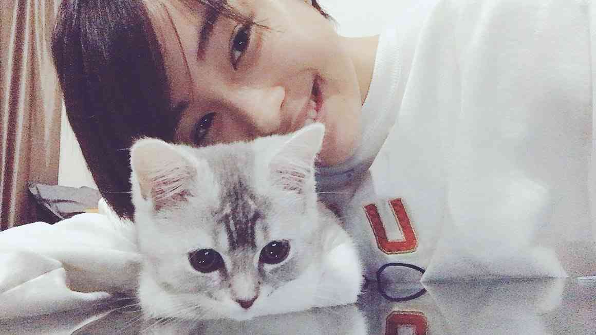 猫を抱く広瀬すずが美少女すぎると話題　「猫になりたい」の声続出