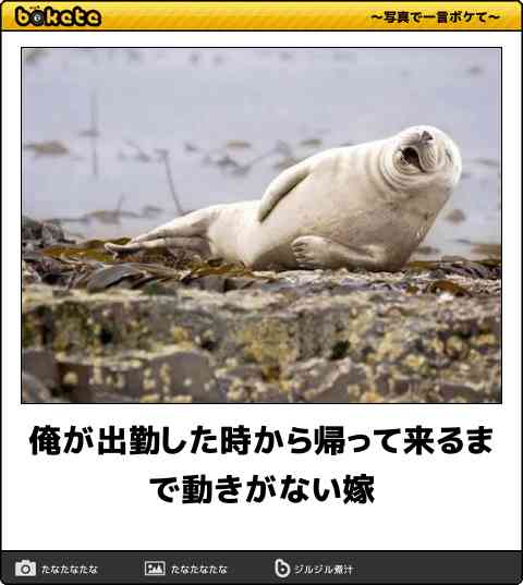 引きこもりがちな人に外はこんなに楽しいよと教えてあげるトピ