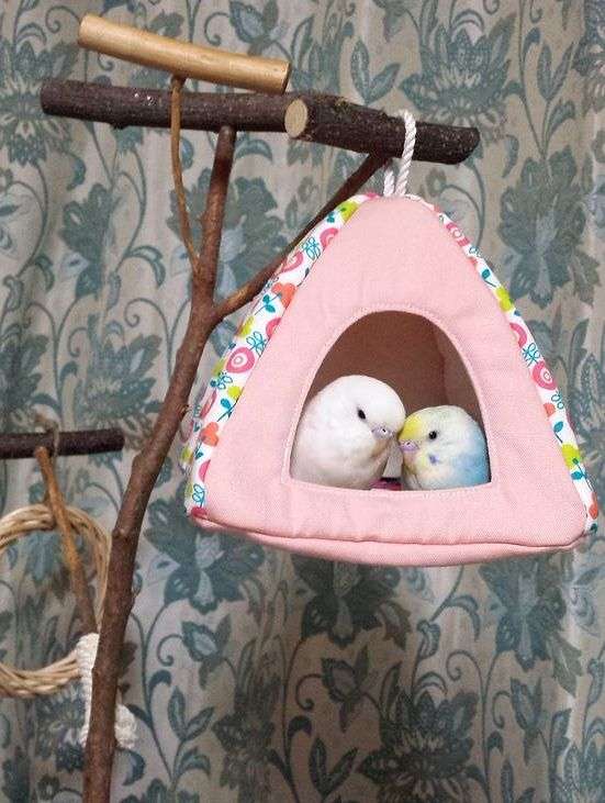 鳥の画像を貼っていくトピ