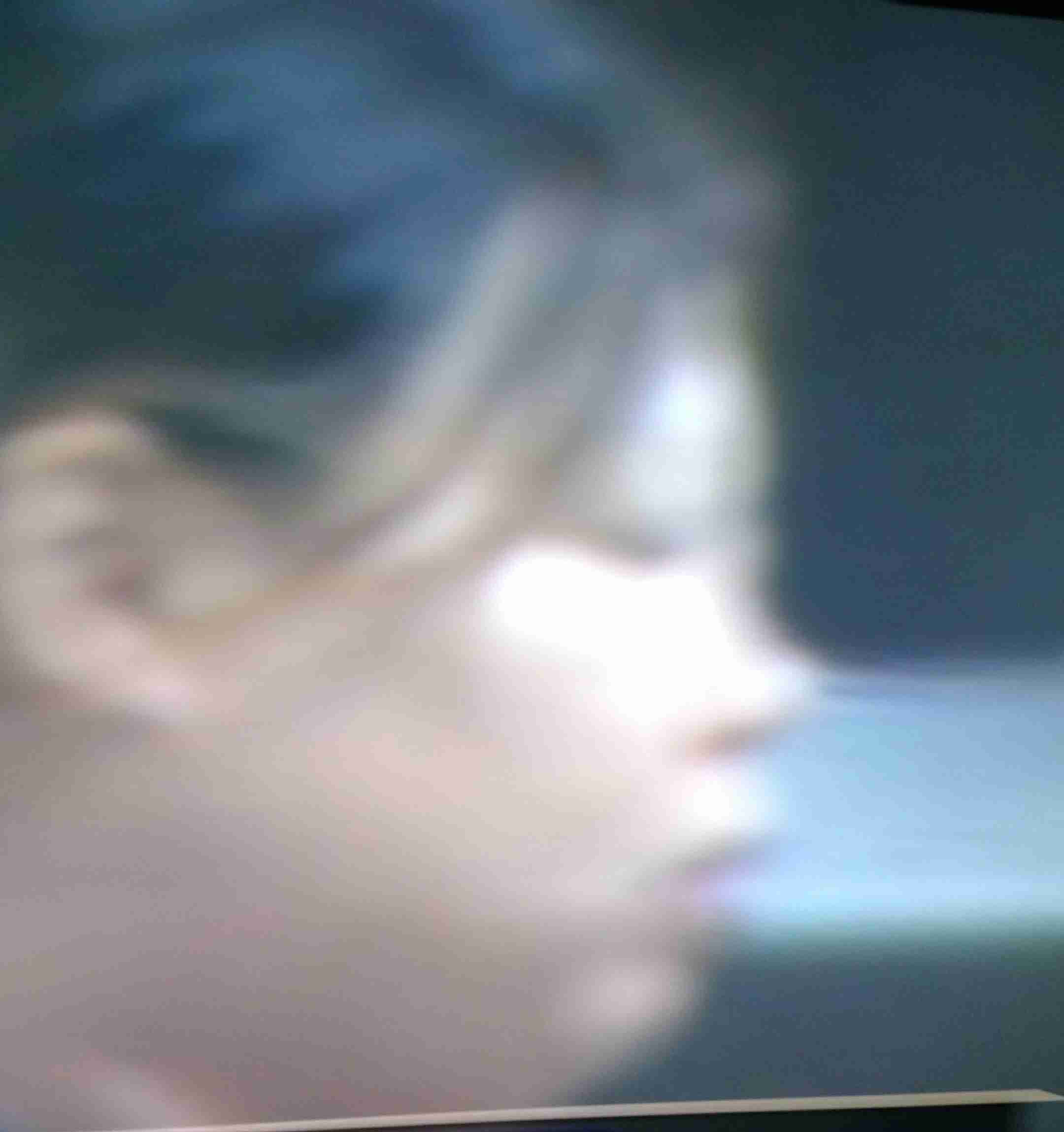 4歳男児死亡、全身にあざ　母親ら「しつけで殴った」