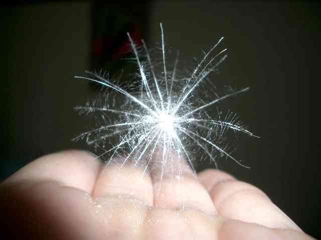 意味は知らないけどなぜか覚えている言葉