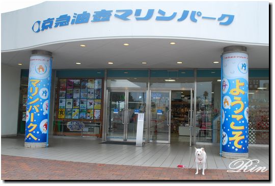 東京旅行のおすすめ