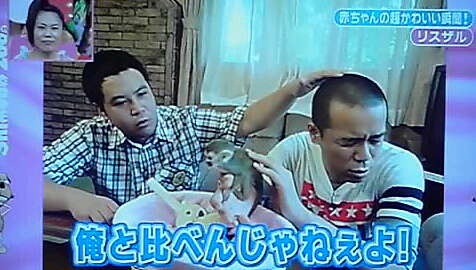 松本人志の浜田愛にいいね殺到　シャンシャンより「浜田の方が…」