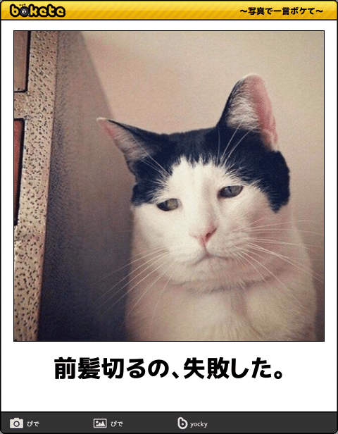 前髪自分で切りますか?