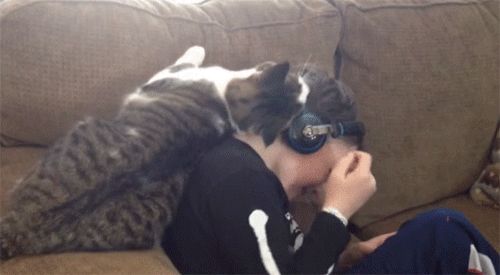 【画像】動物が労ってくれるトピ