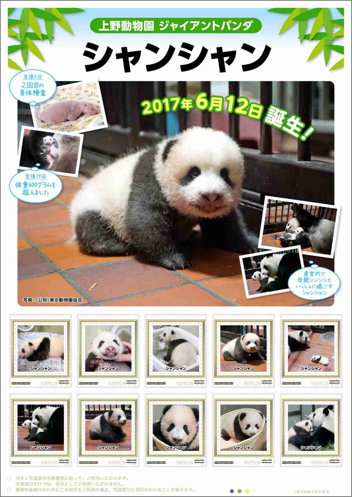 【画像】動物が労ってくれるトピ