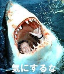【画像】動物が労ってくれるトピ