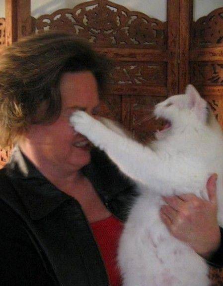 【画像】動物が労ってくれるトピ