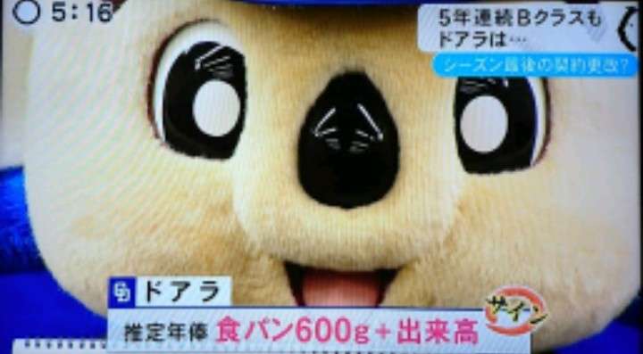 【ヤクルト】つば九郎、年俸2万2000円で大トリ更改「じじつじょうだうん?」