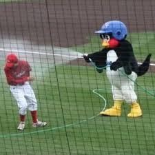 【ヤクルト】つば九郎、年俸2万2000円で大トリ更改「じじつじょうだうん?」