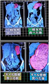 ギャル曽根長女、一口大おにぎり50個食べる　まだ1歳10カ月