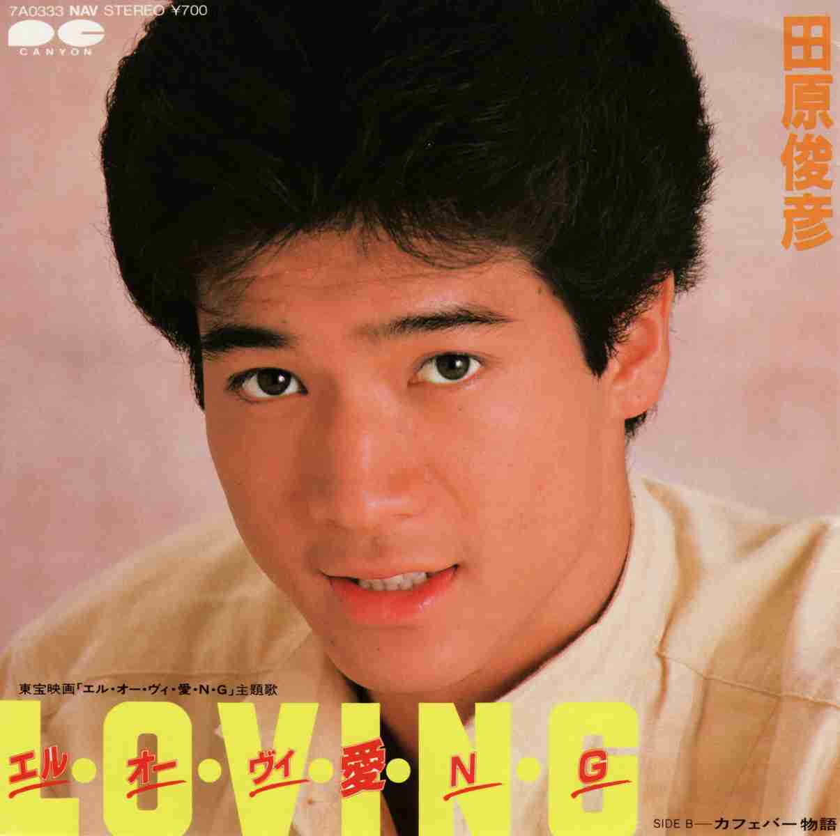 自分はいい歳なのに若手イケメン俳優にはまってる人ー