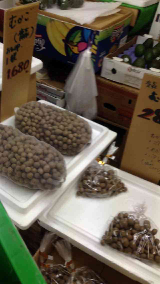 これ使っている人見たことがないという商品の画像を貼るトピ
