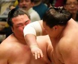 やくみつる氏、日馬富士引退問題は「白鵬に一番非がある」