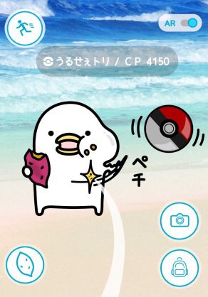 うるせぇトリ好きな人