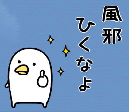 うるせぇトリ好きな人