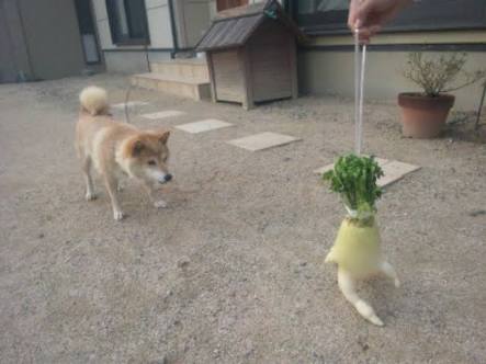 【年越し】雑談 スギちゃんみたいに喋るぜぇ2017~2018【シーズン19】